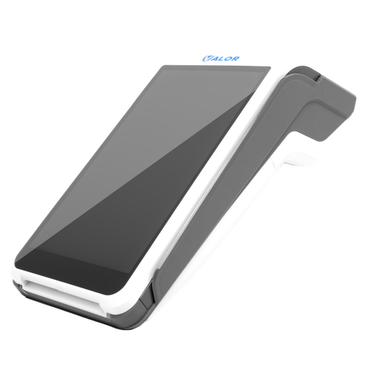 Valor VL 500